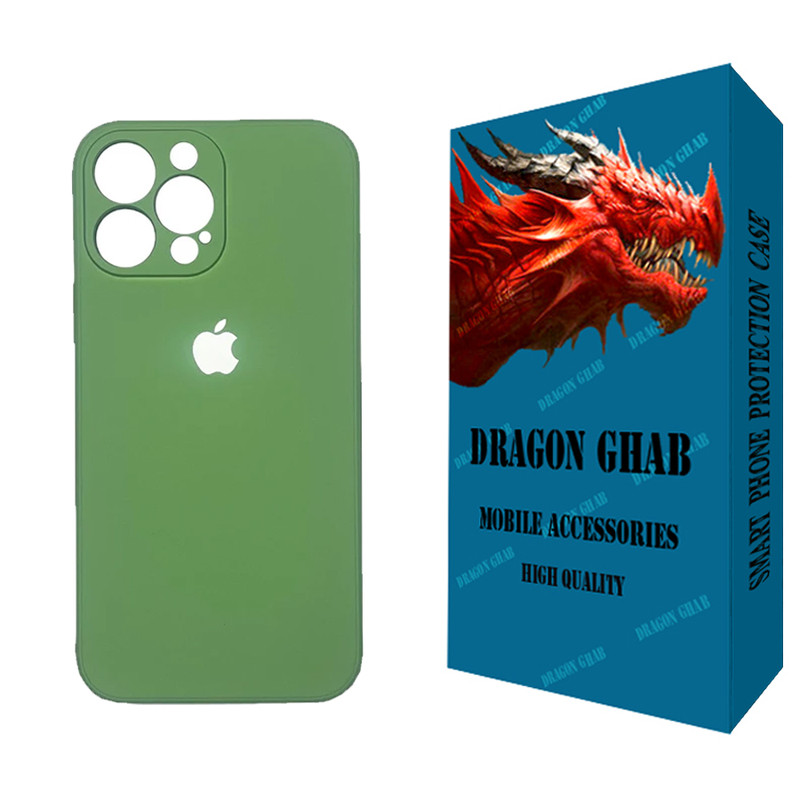 کاور دراگون قاب مدل سیلیکونی مناسب برای گوشی موبایل اپل iPhone 13 Pro Max